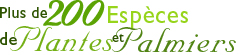 Amnagement des espaces verts