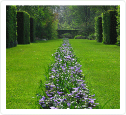 Amnagement espaces verts 